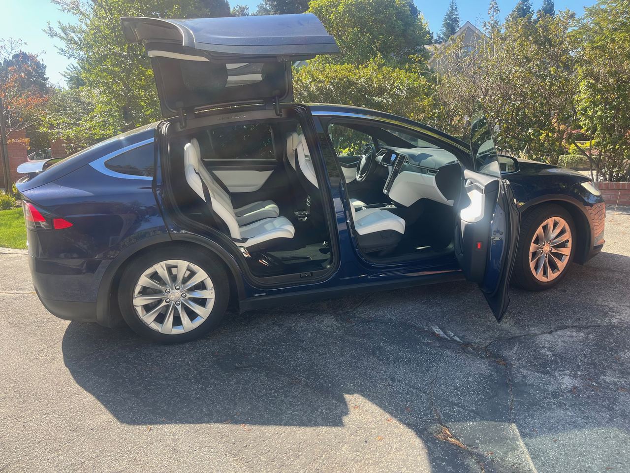 Blue Tesla Model X with falcon doors open after detailing
